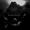 Verslag van Black Metal Desecration