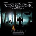 Thorondir - Dsterwald