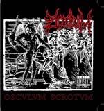 Scrotum - Oscvlvm Scrotvm