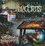 Amagortis - Intrinsic Indecency