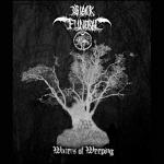 Black Funeral - Waters Of Weeping