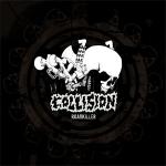 Collision - Roadkiller