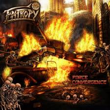 Entropy - Force Convergence