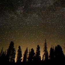 Evergreen Refuge - Skyward