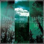 If These Trees Could Talk - Above The Earth, Below The Sky (re-release)