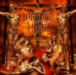 Infinited Hate - Revel In Bloodshed