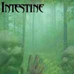 Intestine - Intestine