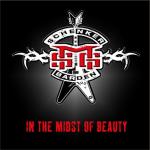 Michael Schenker Group - In The Midst Of Beauty