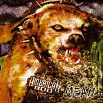 American Dog - Mean