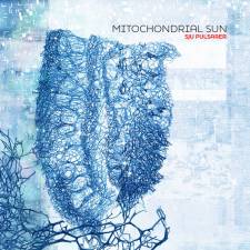 Mitochondrial Sun - Sju Pulsarer