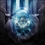 Ne Obliviscaris - Citadel