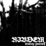 Nibdem - Destroy Yourself