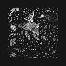 Plini - Sunhead