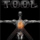 Tool - Salival