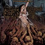 Splatterhouse vs Gruesome Stuff Relish - Split cd