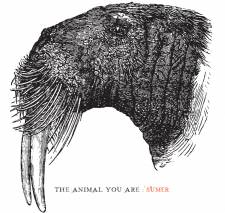 Sumer - The Animal You Are