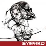 Sybreed - The Pulse Of Awakening