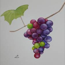 TheGrapes - The Grapes