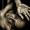 Interview met Infernal Poetry