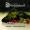 Interview met Luca Turilli