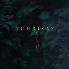 Thurisaz - Re-Incentive
