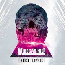 Vinegar Hill - Ghost Flowers